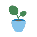 BloomUp EAP+ logo
