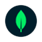 MongoDB Atlas logo