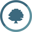 Oxand Simeo logo