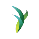 Seraf logo