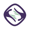 Sertifi API logo