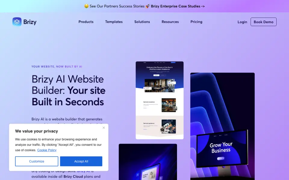 Brizy's website