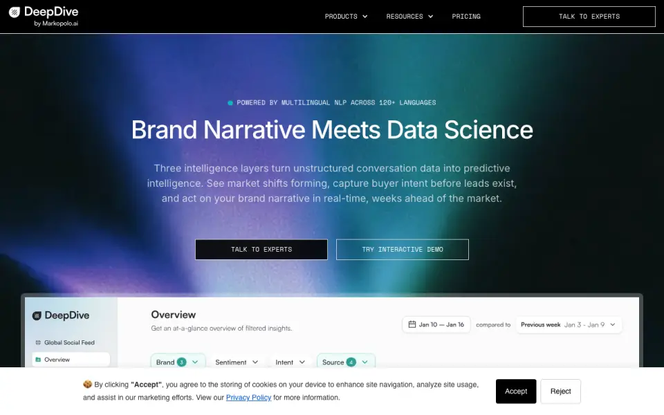DeepDive's website
