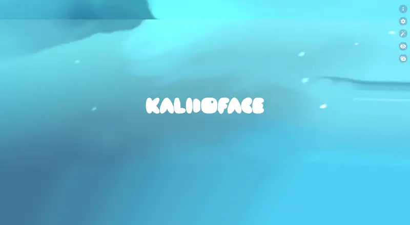 Kalidoface 3D's website