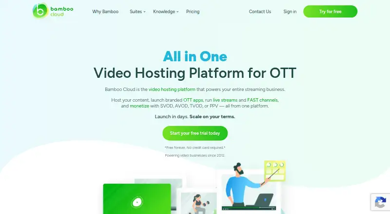 Bamboo Cloud's website