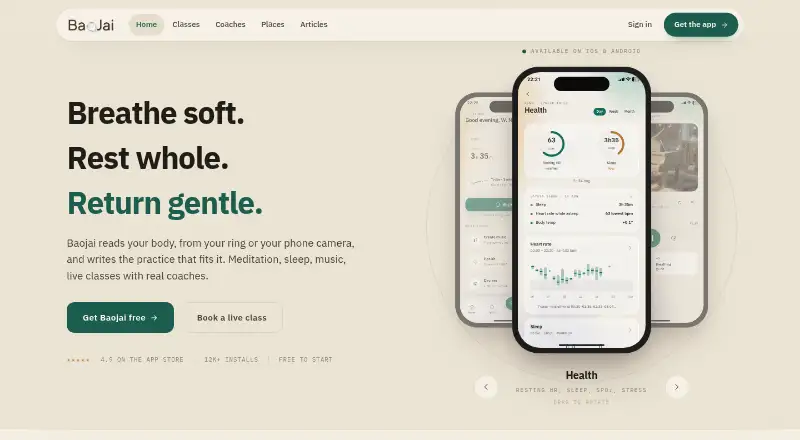 Baojai's website