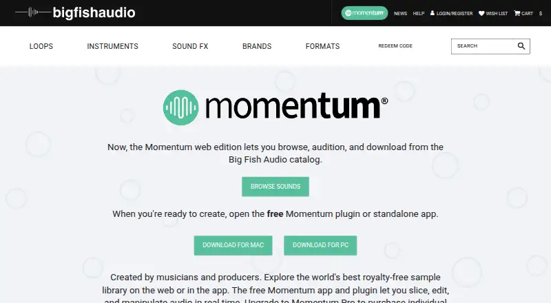 Momentum's website