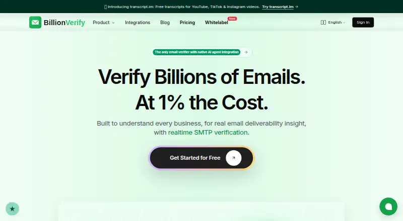 BillionVerify's website