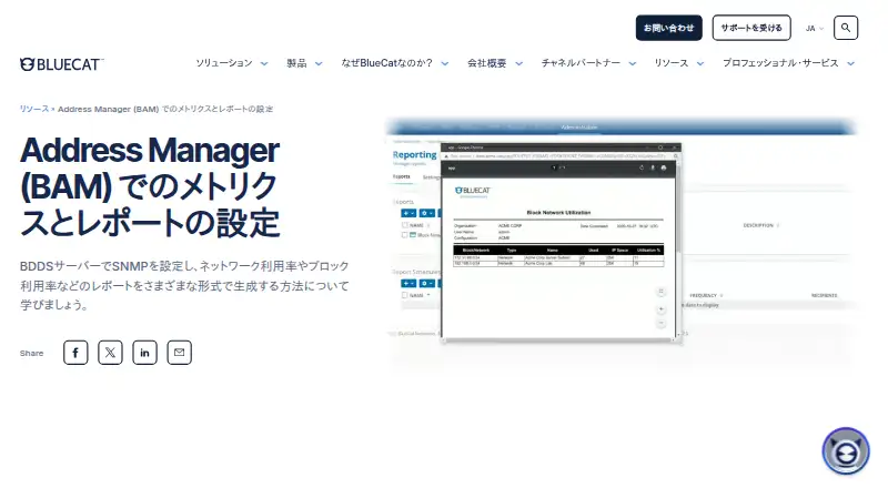 BlueCat Address Manager's website