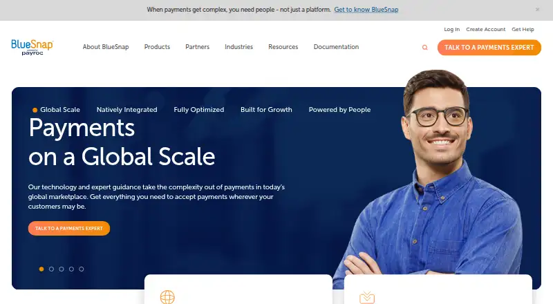 BlueSnap's website