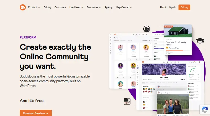 BuddyBoss Platform's website