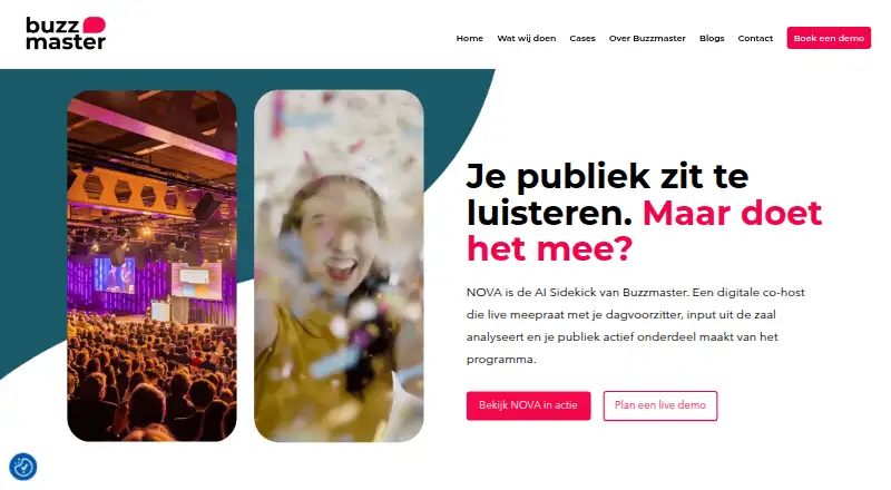 BuzzMaster's website