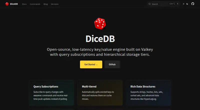 The DiceDB homepage