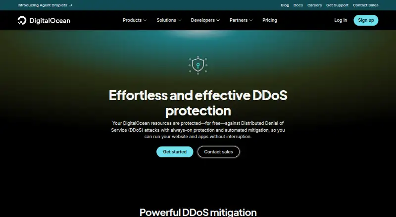 DigitalOcean DDoS Protection's website