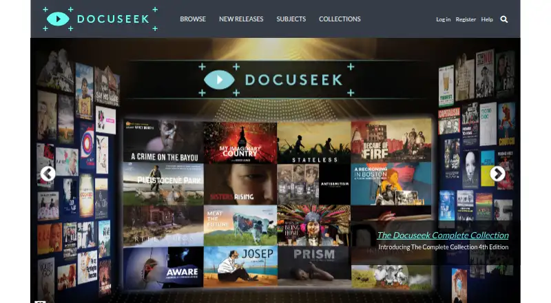 Docuseek's website