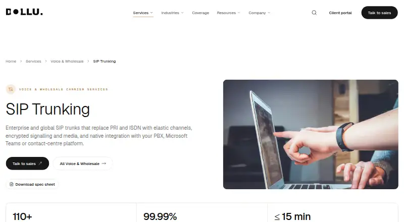 Dollu SIP Trunking's website