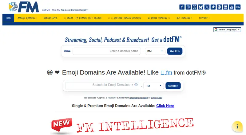 dot.fm's website