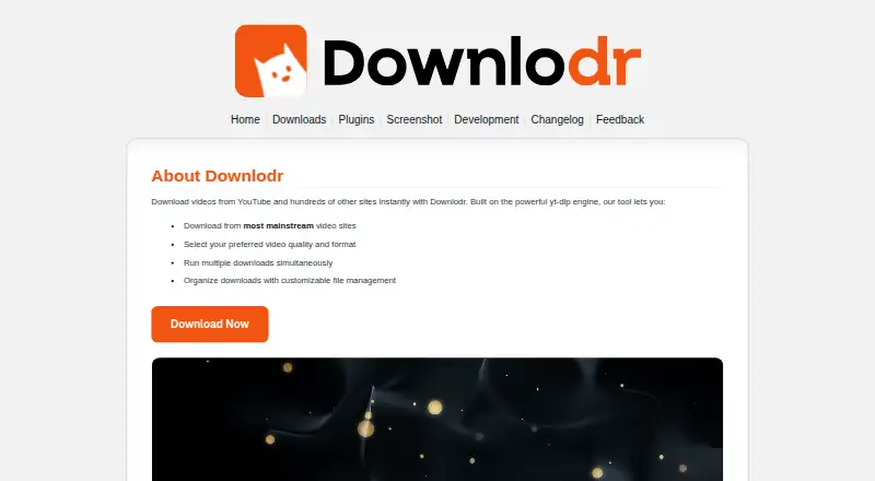 Downlodr's website