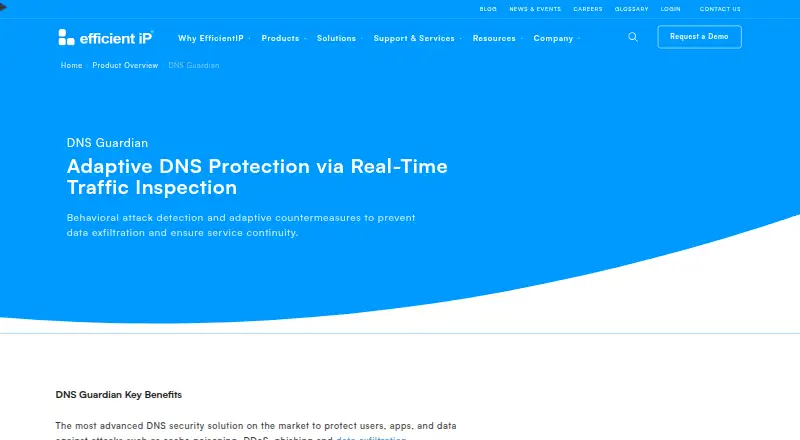 EfficientIP DNS Guardian's website