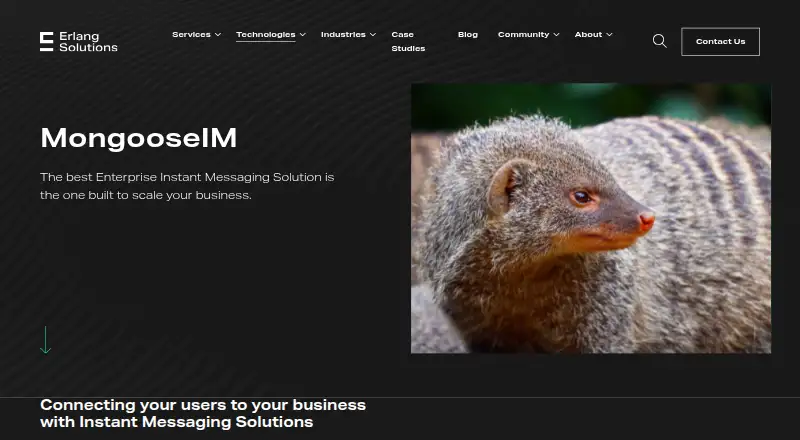 MongooseIM's website