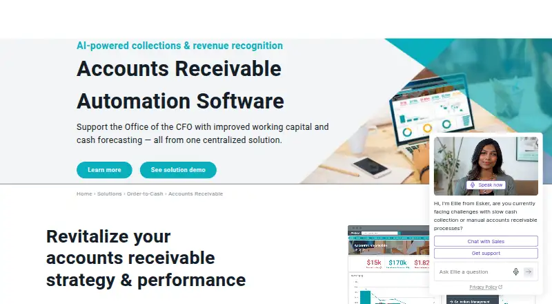 Esker Accounts Receivable's website