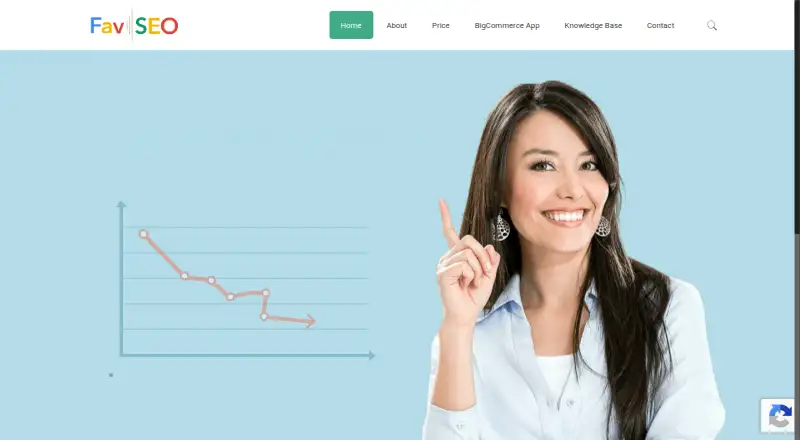 FavSEO's website