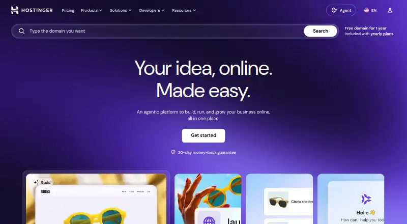 Hostinger's website