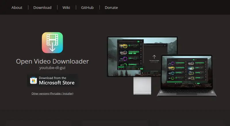 Open Video Downloader's website