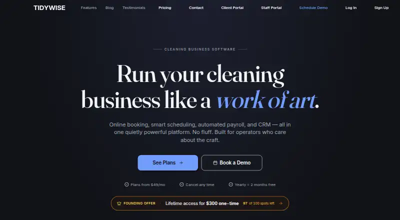 TidyWise's website