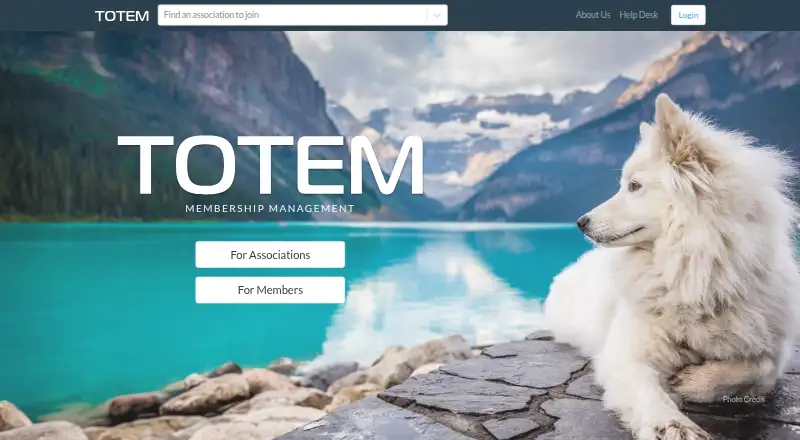 TOTEM's website