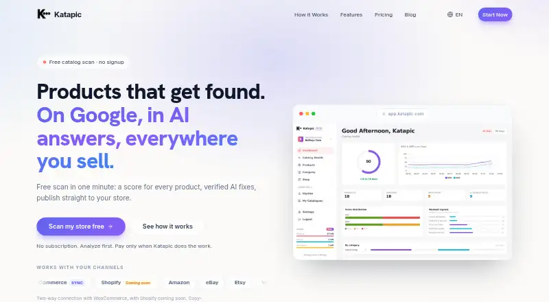 Katapic's website