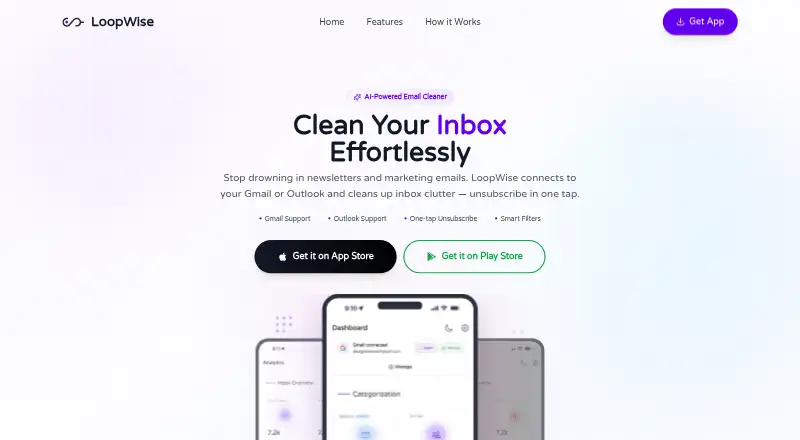 LoopWise's website