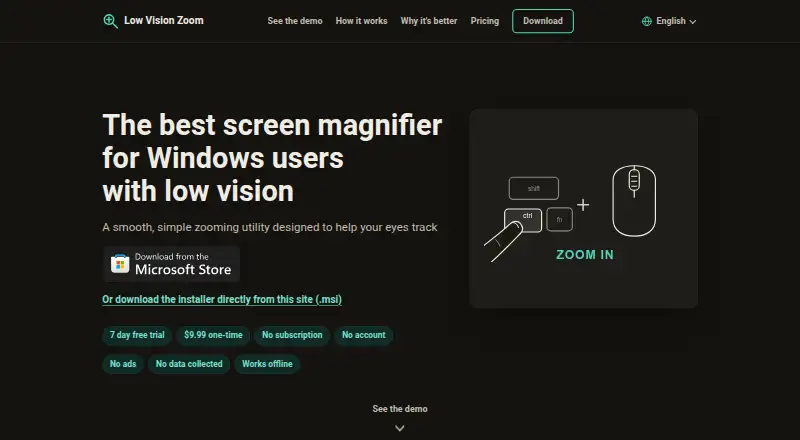 Low Vision Zoom's website