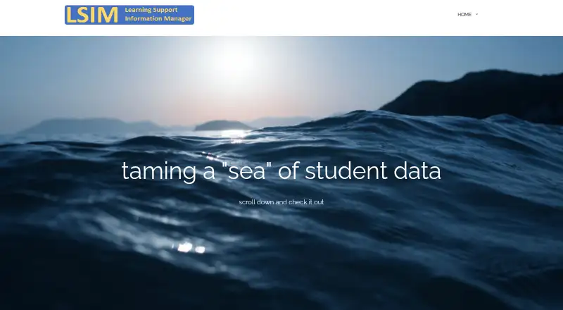 LSIM's website