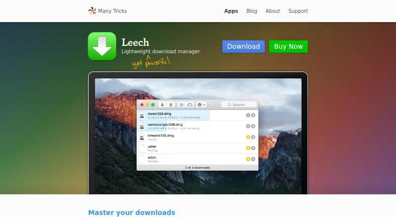Leech's website