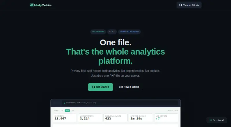 The MintyMetrics homepage