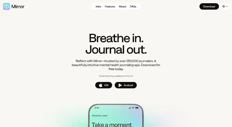 Mirror's website