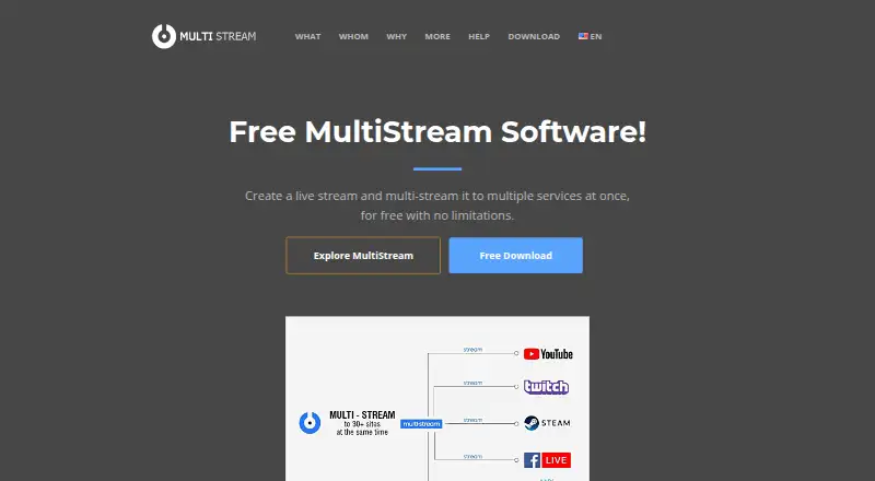MultiStream's website