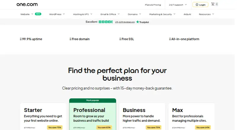 The one.com Web Hosting homepage