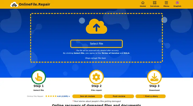 OnlineFile.Repair's website