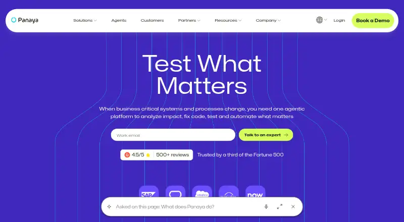Panaya's website