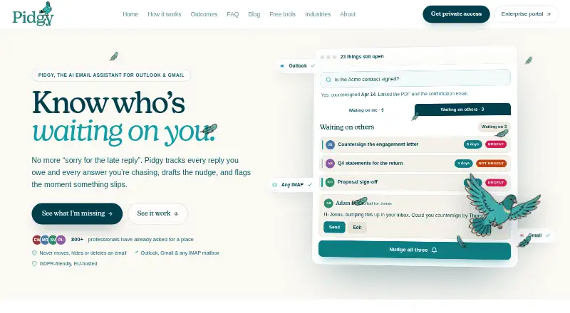 Pidgy's website