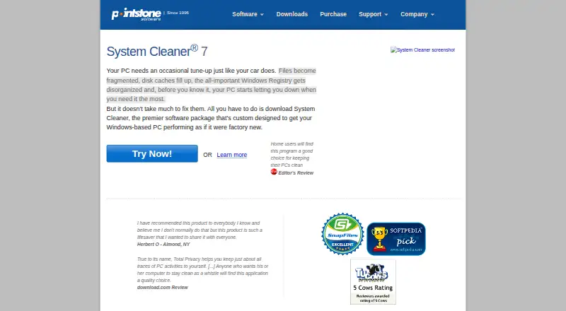 The Pointstone System Cleaner homepage