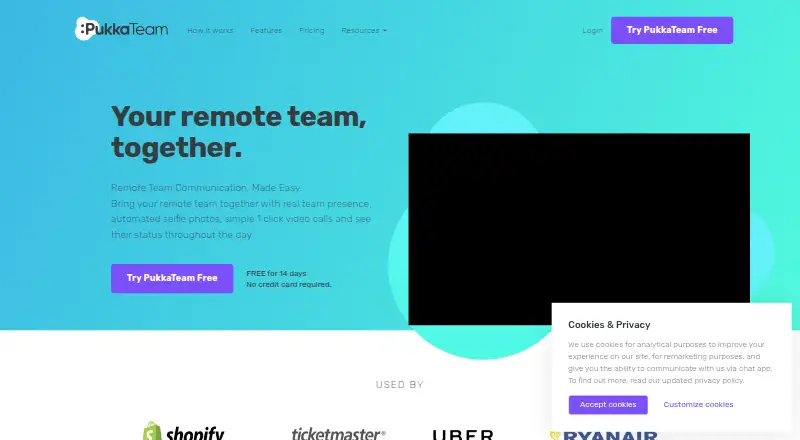PukkaTeam's website