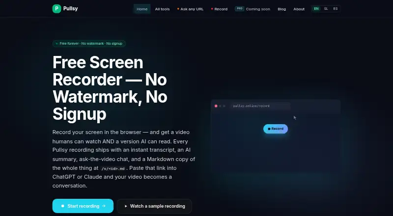 Pullsy's website