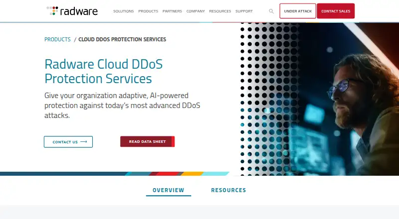 Radware Cloud DDoS Protection's website