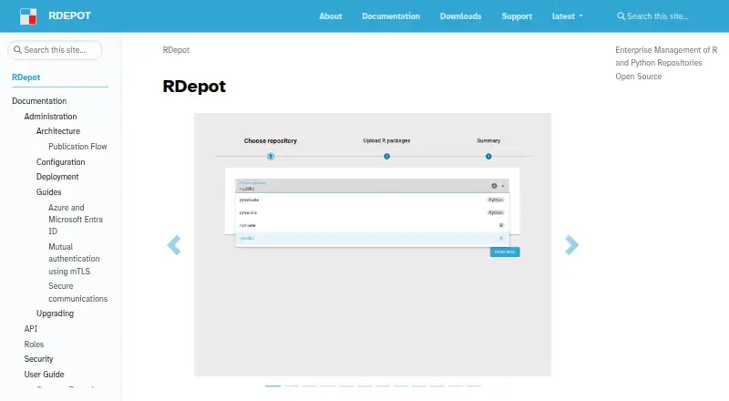 RDepot's website