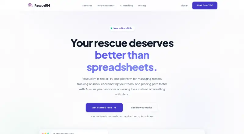 RescueRM's website