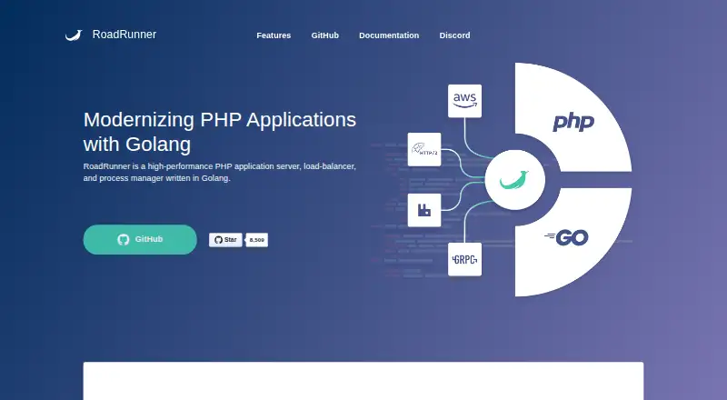 RoadRunner's website