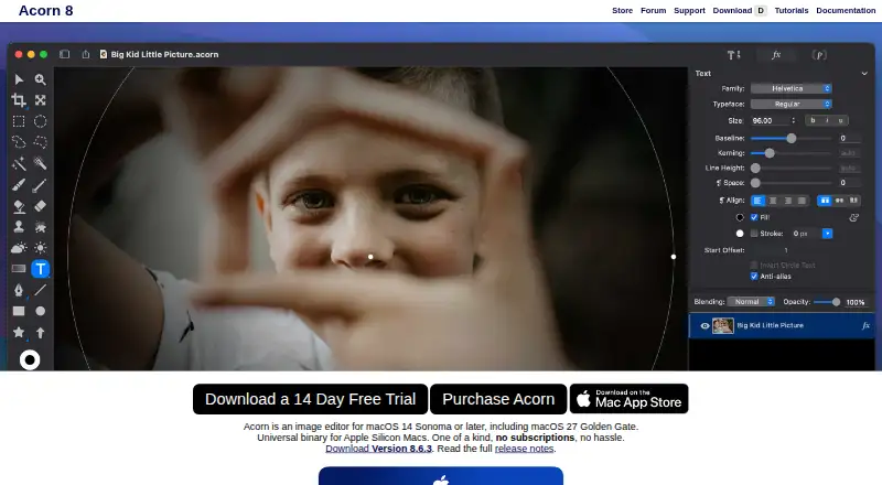 Acorn's website